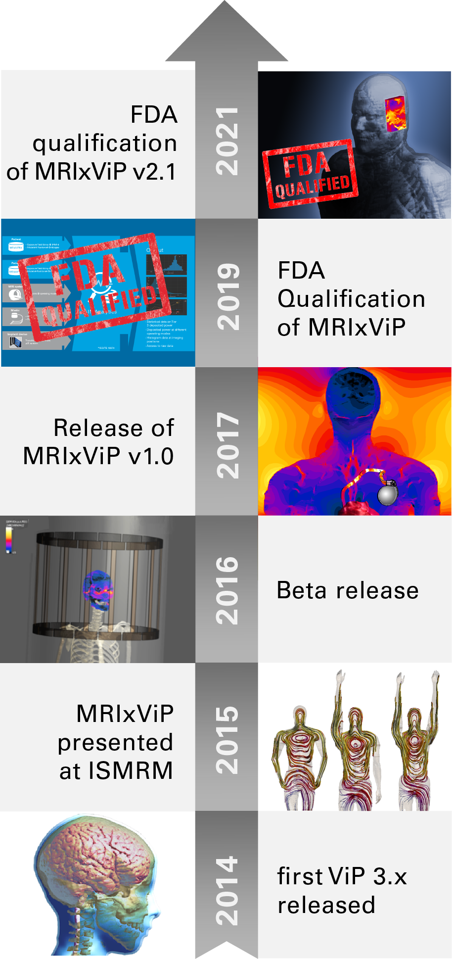 210326 MRIxViP timeline s2