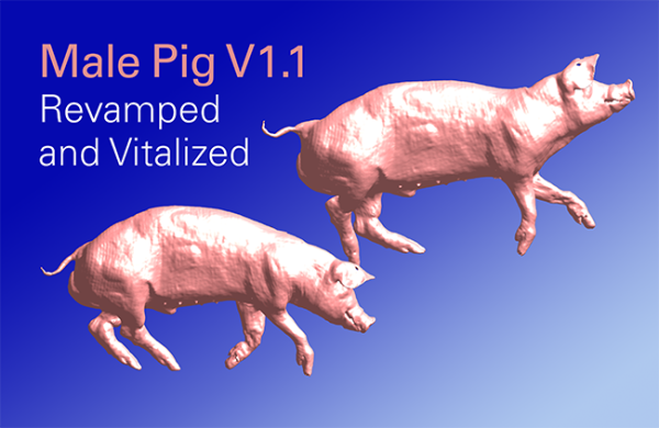 2309 posable pig news item