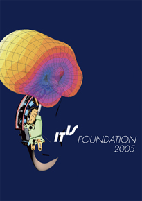 IT'IS annual report 2005