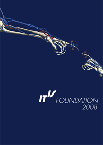 IT'IS annual report 2008