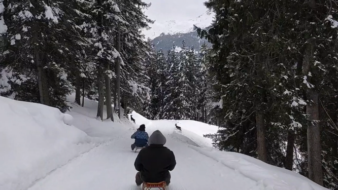 Sledding